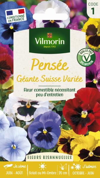 Fleurs - Pensée Géante Suisse Variée - PACKAGING_RECTO
